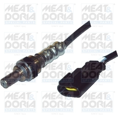 Oxygen Sensor